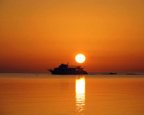 Египет,красное море